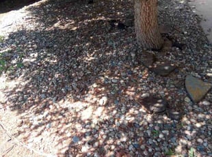 Cleanups by Charles Beck for Angela S. in Colorado Springs, CO
