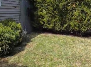Cleanups by Jacqueline Machado for Ignacio F. in Elmont, NY