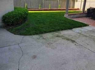 Weeding by Alexis Aviles for Tricia K. in La Grange, IL