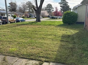 Cleanups by Larry Gordon for Timothy T. in Portsmouth, VA