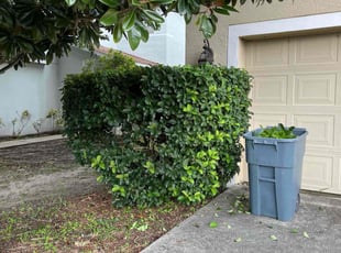 Annette T.'s Bush Trimming service result
