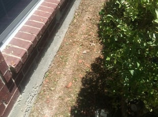 Landscaping by Shelita Williams for Robin B. in DeSoto, TX