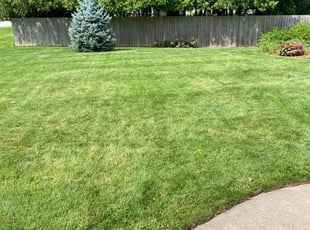 Jamie S.'s Lawn Mowing service result