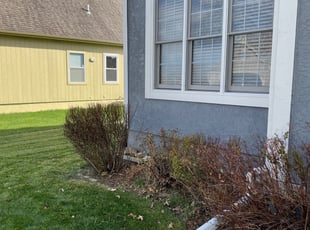 Bush Trimming by Jacob Russi for Paul M. in Lee's Summit, MO