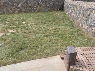 Cleanups by Arturo Lopez for Patricia C. in El Paso, TX