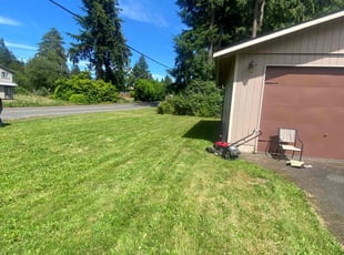 Marlynn H.'s Lawn Care service result