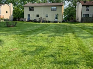 Emily C.'s Lawn Mowing service result