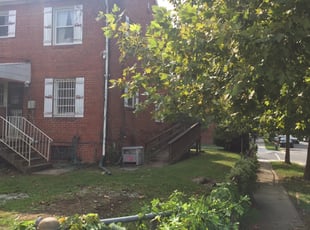 Bush Trimming by Kamonta Hackey for Ellen N. in Washington, DC