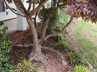 Cleanups by Gabriel Gray for Jeffrey L. in Indian Trail, NC
