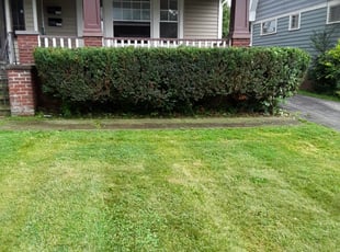Bush Trimming by Justin Siggers for John J. in Cleveland Heights, OH