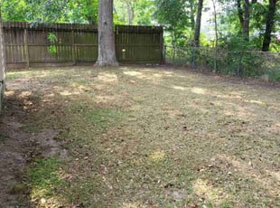 Cleanups by Pamela Gomez for Diego P. in Houston, TX