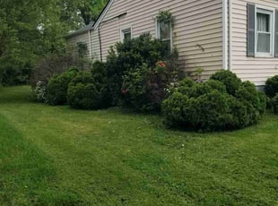 Bush Trimming by Jaden Benn for Sarah F. in Louisville, KY