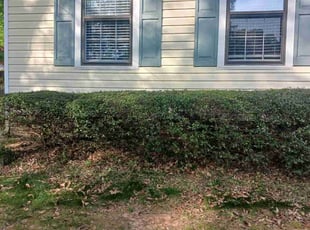 Bush Trimming by Christopher Mora for Ralph O. in Douglasville, GA