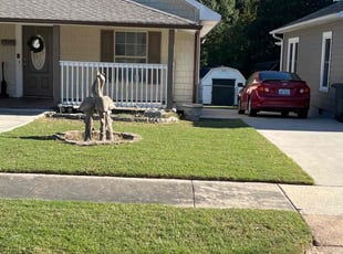 Michelle C.'s Lawn Mowing Service service result