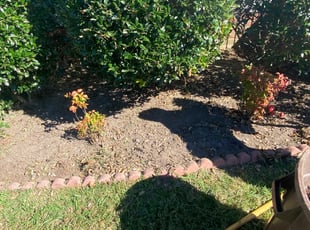 Danny B.'s Flower Bed Weeding service result
