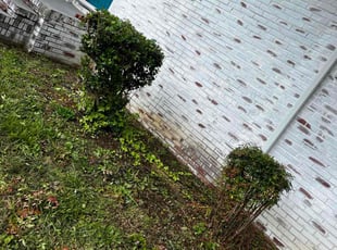 Bush Trimming by Andrew Austin for Jezabelle g. in Gastonia, NC