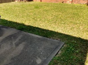 Leaf Removal by Yanet Maciel for Michael C. in Missouri City, TX