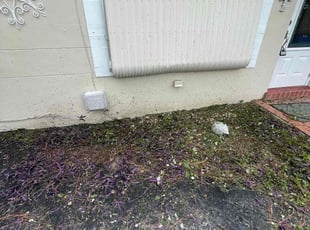 Weeding by Marcus Major for Beckett F. in Margate, FL