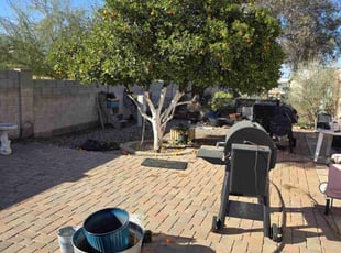 Bush Trimming by Zachary Isaak for Kevin F. in Mesa, AZ