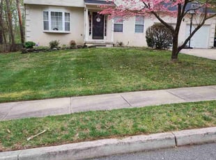 Thomas C.'s Lawn Mowing service result