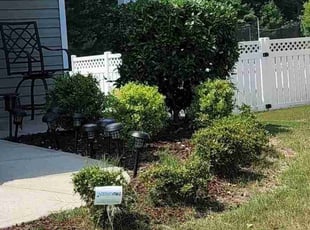 Bush Trimming by Mikal James for Rosetta L. in Charlotte, NC