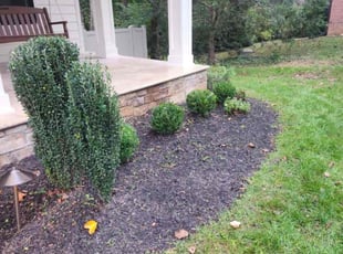 Bush Trimming by Lara Rahmani for Etomgi O. in McLean, VA