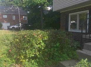 Bush Trimming by William Miller for Paul D. in Akron, OH