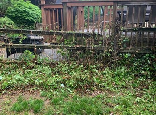Cleanups by Sergio Lopez for Richard B. in Newtown, PA