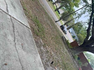 Leaf Removal by Jaylon Fair for Corey w. in Ocoee, FL