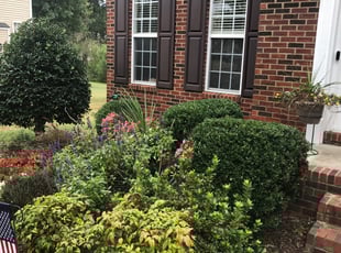 Bush Trimming by Marco Antenor for Nicholas W. in Charlotte, NC