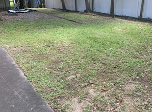 Leaf Removal by Tonya Buck for Joshua R. in North Myrtle Beach, SC
