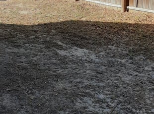 Cleanups by Alan Hollis for Daren W. in Tallahassee, FL