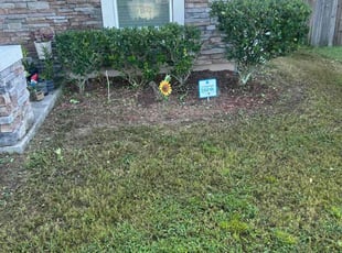 Sarah V.'s Bush Trimming service result
