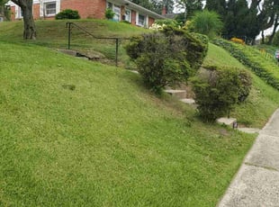 Bush Trimming by Marvin Simmons for Ramzi G. in Philadelphia, PA