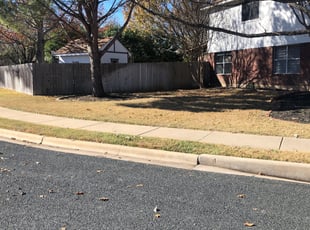 Leaf Removal by Isaiah Fiechtner for Brian C. in Cedar Park, TX