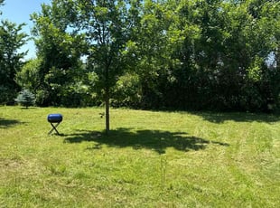 Weeding by Michael Wilmoth for Maria M. in Rogers, AR