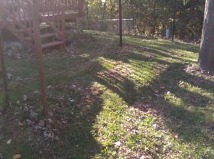 Leaf Removal by Kevin Rhyne for Jacquelyn B. in Madison, WI