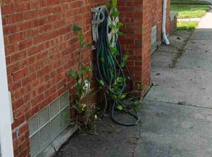 Bush Trimming by David Rider for Mallory H. in Warren, MI
