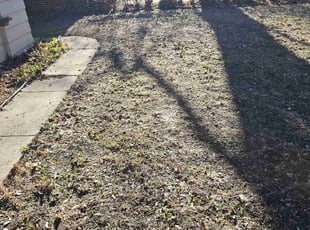 Leaf Removal by Robert Dowdy for Julie D. in Milwaukee, WI