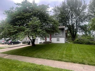Taylor L.'s Lawn Service service result