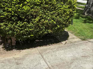 Leaf Removal by Seantrell Lawson for Lance H. in Cleveland, OH