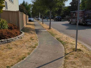 Bush Trimming by Braden Ripple for Carla F. in Fife, WA
