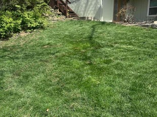 Sandi P.'s Lawn Care service result