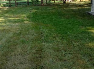 Cleanups by for Mary K. in Minneapolis, MN