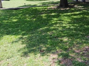Elizabeth R.'s Lawn Service service result