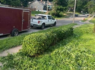 Bush Trimming by Bryant King for Jenna K. in Kansas City, MO