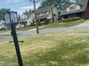 Leaf Removal by Zy Robinson for Denise W. in Youngstown, OH