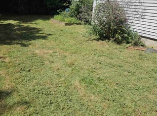 Kim W.'s Cleanups service result