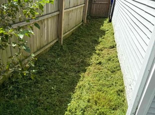 Shanel V.'s Lawn Care service result