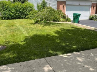 Brian S.'s Lawn Maintenance service result